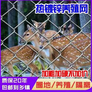 钢丝网勾花铁丝围护栏圈地护坡养殖鸡WGK羊围栏网菱锌形栏用网镀