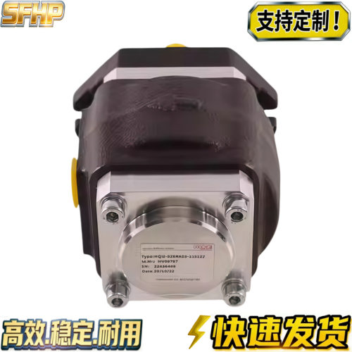 德国HAWE哈威液压泵HQI2 HQI3 HQ12 13 HOERBIGER齿轮泵PGI 102