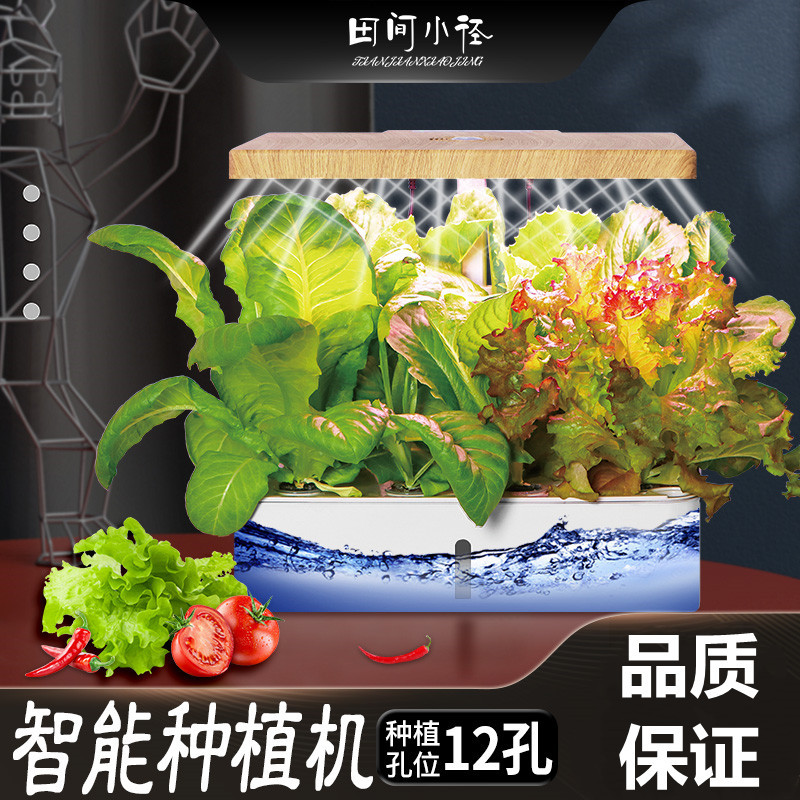 种菜机种菜无土栽培蔬菜水培育苗花卉家庭种植袋种植槽其他无纺布