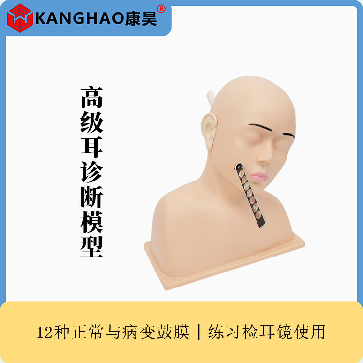 耳诊检查操作断模型综合技能模型训练耳朵检查模型耳模型假人
