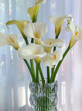 国产CXD级花马蹄莲鲜专用手捧花材高级白色直马蹄莲水培切花云南A