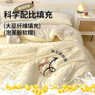 大冬豆纤维被子OAB被2025新款 春秋被加厚保暖被学芯生人单被四季