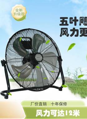 风地扇爬强力趴电扇工业DWH工地风扇落地扇家用台式电扇率坐大功