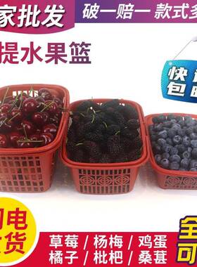 塑料草F97T756M莓篮手子水果提篮熟料提水筐杨梅枇果杷采摘篮篮鸡