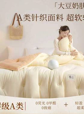 000000-8a类母子婴级针织棉保大被暖冬被学生宿舍春秋被豆芯单人