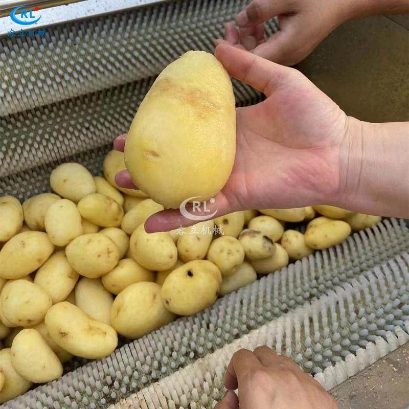 商用笋毛刷脱皮机辊刷式葛根桔梗清洗去泥机全自动竹笋清洗机,清洗/食品/商业设备,其他食品加工设备,淘宝优惠券,粉丝福利购,淘宝优惠卷