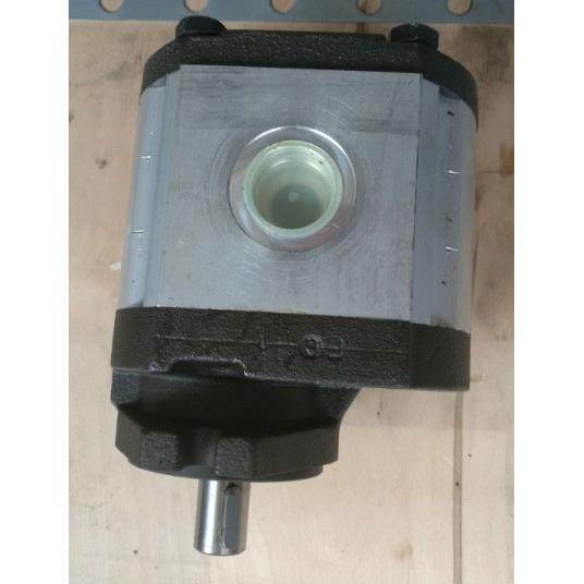 意大利RONZIO罗茨01ZA011C442AD全系齿轮泵液压马达选型参数,鲜花速递/花卉仿真/绿植园艺,割草机/草坪机,淘宝优惠券,粉丝福利购,淘宝优惠卷