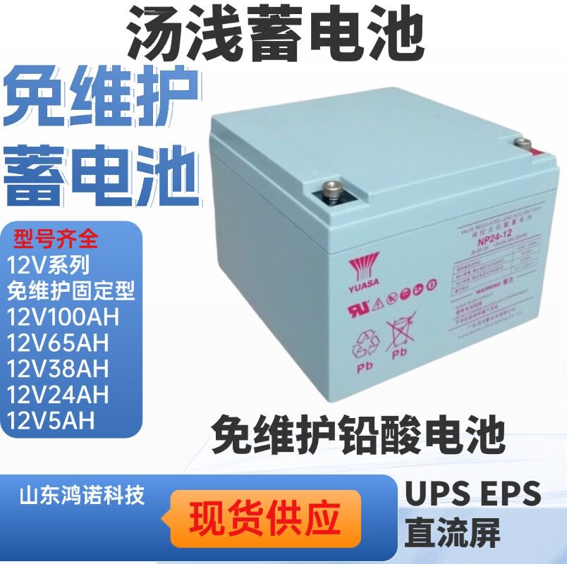 汤浅蓄电池NP24-1212V24AH直流屏UPS电源专用铅酸免维护电瓶