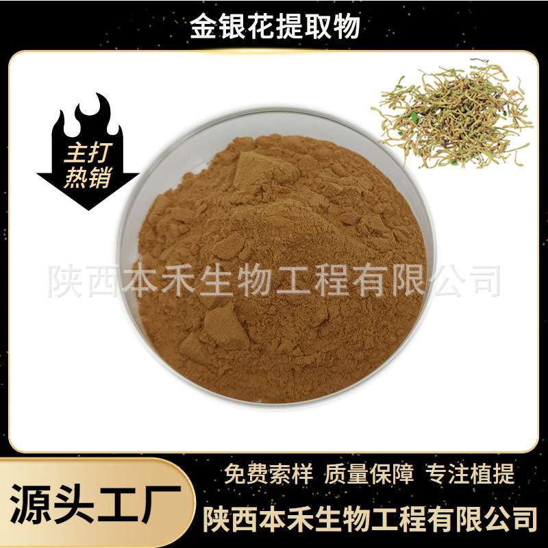 金银花提取物10:1 水溶 绿原酸5% 金银花粉 源头厂家 本禾生物
