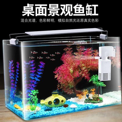 鱼缸生态造景全套水草客厅2025新款桌面家用小型金鱼缸真免换水缸