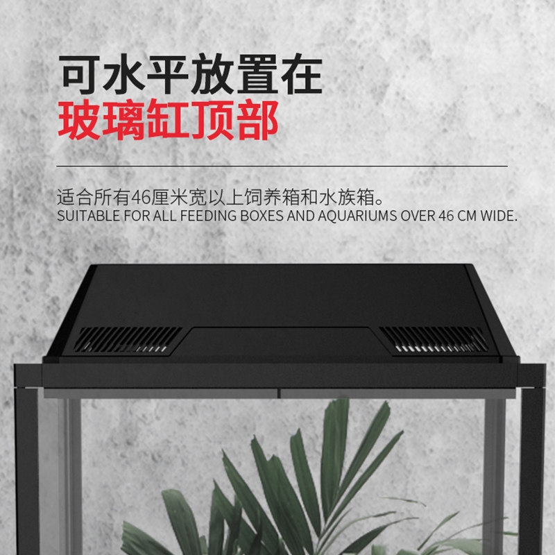 爬宠横向双头灯罩爬虫陆龟蜥蜴晒背灯UVA加热UVB太阳灯饲养箱灯具