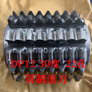 渐开线花键滚刀 DP12 压力角30度 内孔22 河冶高速钢6542
