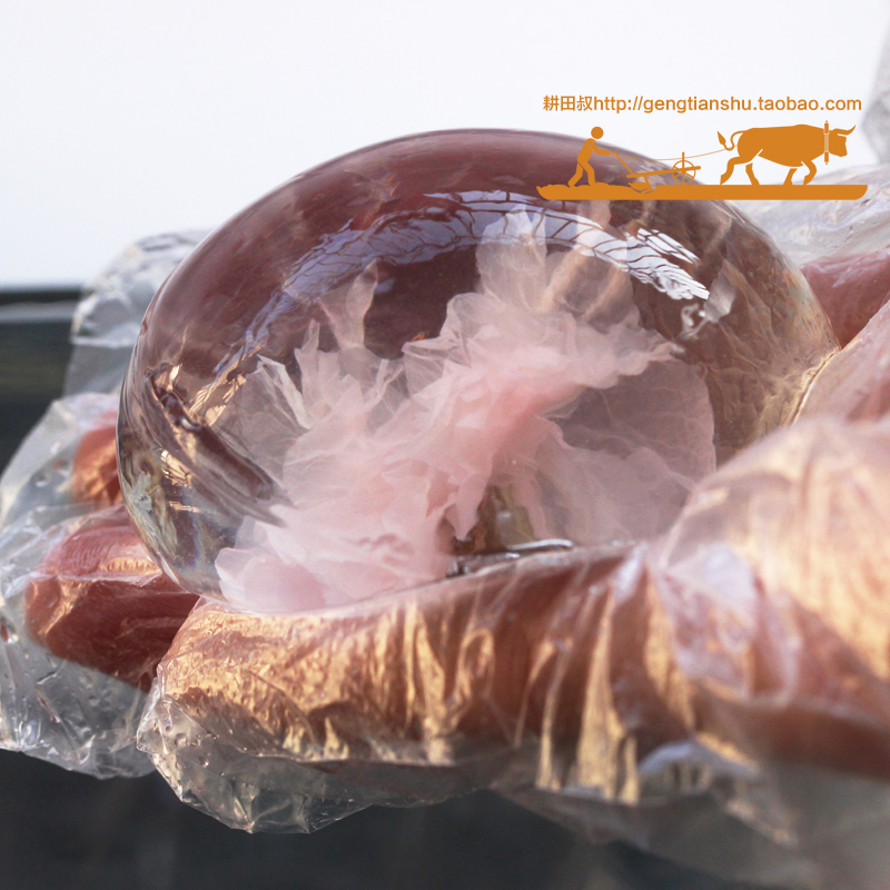 创意冰球模具圆形冰格威士忌冰球带盖制冰盒冰块格制冰器冰模商用