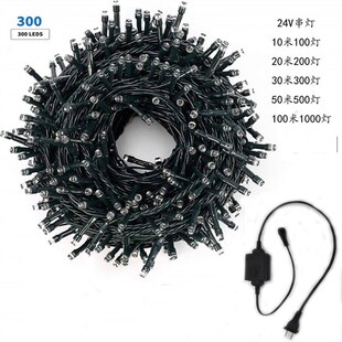 24V低压LED串灯 墨绿线 防水黑线灯串庭院 酒店 工程亮化星星彩灯