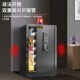 存钱罐保险柜家用小型密码 可存可取大人用大容量 锁保险箱2024新款
