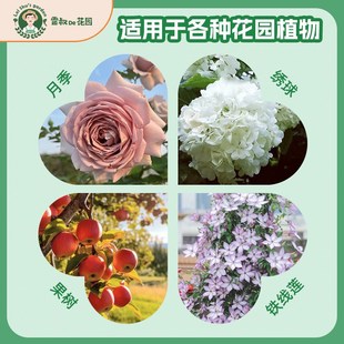 雷叔家庭园艺复合肥5斤装月季果树绣球高效吸收量大安全增产便携