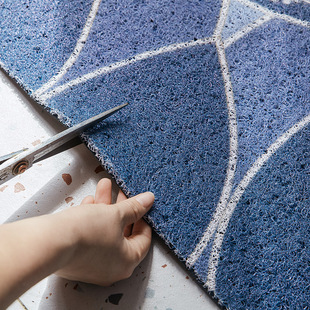 半圆形地垫网红轻奢丝圈脚垫蓝色门口门垫进门入户门垫子入门地毯