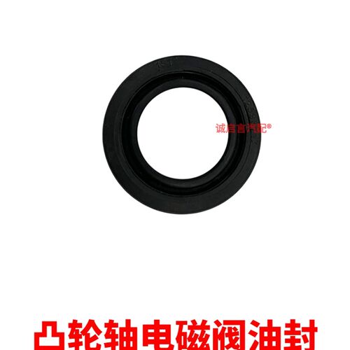 适用于新君越3.0昂科雷SRX林荫大道偏心轴凸轮轴电磁阀油封密封圈