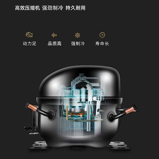 白雪雅竹冷藏展示柜商用大容量保鲜柜超市饮料啤酒立式冰箱冰柜