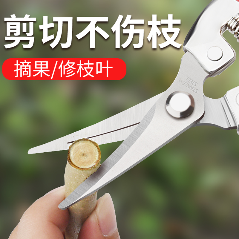 剪枝剪刀摘果神器多功能园艺采果花艺剪修枝剪树枝剪刀采摘神器