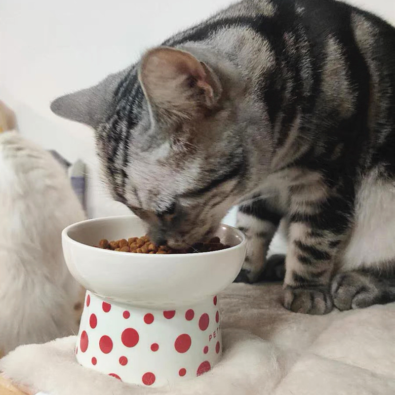 小佩陶瓷猫碗双碗狗狗盆猫食盆宠物水碗饭盆猫粮碗防打翻喵咪用品