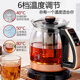 养生壶全自动加厚玻璃多功能家用恒温烧水煮茶器花茶煎药壶保温壶