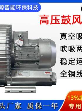 2LG810-7AH07高压旋涡风机吹吸两用鼓风机真空泵工业污水曝气气泵