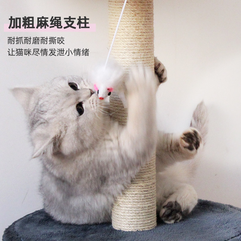 猫抓板小型猫爬架猫树磨爪猫抓柱猫跳台宠物猫咪玩具用品保暖猫窝