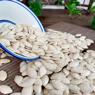 炫料带壳生南瓜子500g中大型鹦鹉鸟粮鸟食饲料新货白瓜子仓鼠零食