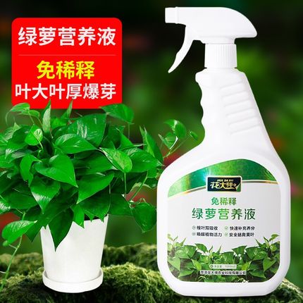 绿萝营养液肥料专用肥水养盆栽绿植通用型室内花草文竹治黄叶绿罗