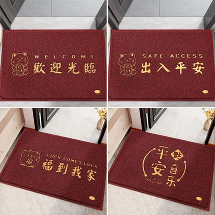 丝圈入户门地垫2024新款耐脏进门大门口脚垫门外防滑红色玄关地毯