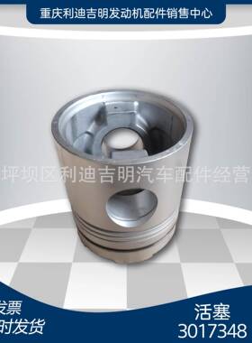 k19 k38发电机组配件 Nt855 发动机零件 活塞3017348