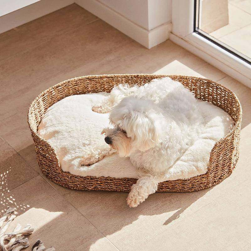 冬季保暖睡眠宠物垫子宠物垫狗垫草藤编狗床舒适猫窝狗窝宠物用品,鲜花速递/花卉仿真/绿植园艺,割草机/草坪机,淘宝优惠券,粉丝福利购,淘宝优惠卷