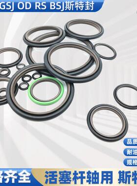 STd斯特封RS耐高压进口组合圈210 220 230*225.1 235.1 245.1*6.3