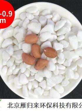 4-20cm白色石子洗米石园林铺路水族造景用鹅卵石水磨石子
