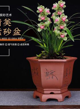 台紫砂花盆兰花盆绿角萝吊兰兰草六盆景盆阳家地面绿植SZO厂特价