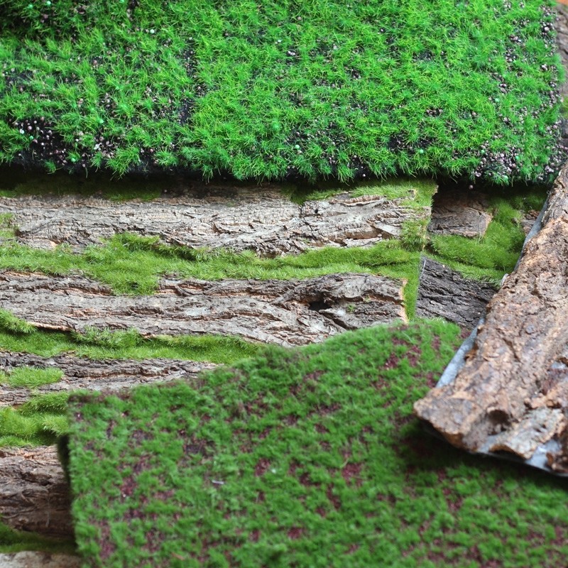觅点 仿真绿植草皮草坪植t物墙天然树皮森系园艺装饰背景拍摄道具