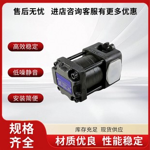 A内啮合伺服齿轮泵 QT41 QT33 高压油泵QT23