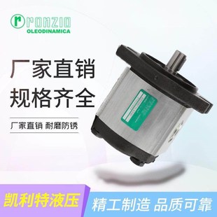 31E034S 0BVR RONZIO罗茨齿轮泵02ZMAG04