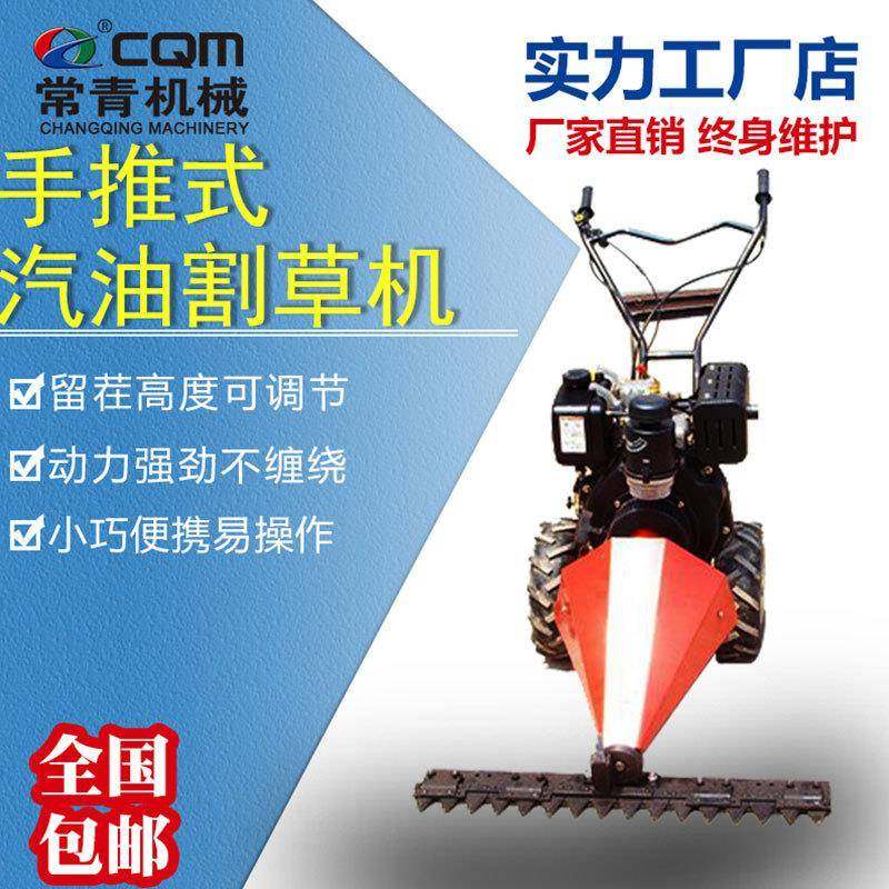 手推式柴油汽油剪草机 农田 牧区 丘陵山地修剪机 大马力割草机,鲜花速递/花卉仿真/绿植园艺,割草机/草坪机,淘宝优惠券,粉丝福利购,淘宝优惠卷