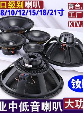 6.5寸8/10/12寸1/185寸M2121寸大演T功率中低音专业KV舞台出钕磁