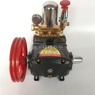 免油陶瓷2黄20226660打型缸三柱塞泵药泵