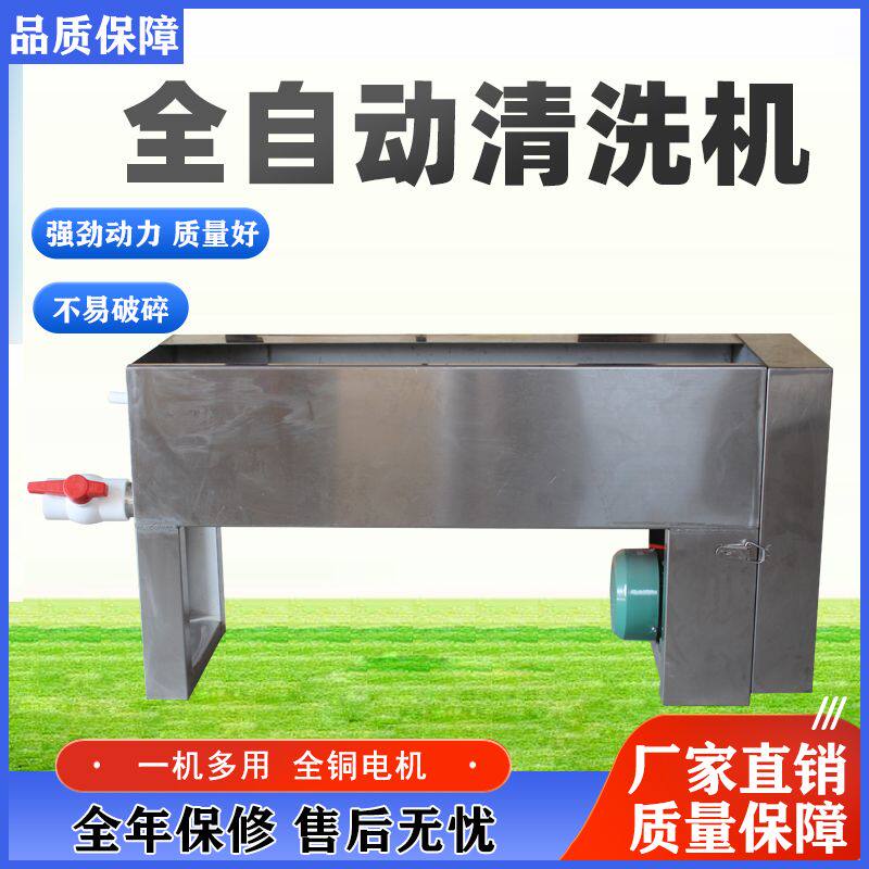 全自动商用小型洗蛋蛋品清洗机泥蛋麻将蛋咸鸭蛋不锈钢鸡蛋清洗机