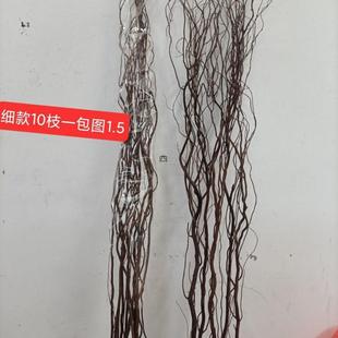 龙柳枝干支干干花花枝主天然生态自然SVF碳烤色褐色插花瓶地落杆