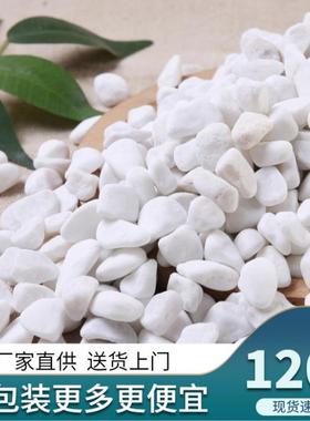 77320斤小白石子鹅石原石天1院然多肉铺面石园艺庭造景花盆卵白石
