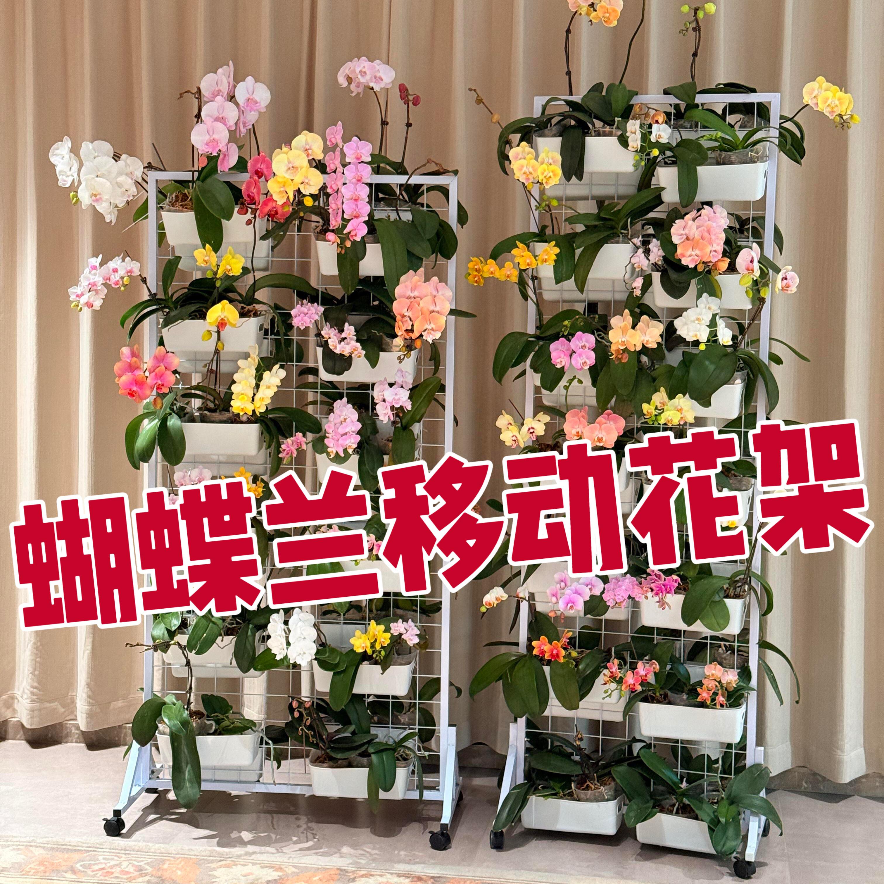 阳台花架2025新款蝴蝶兰展示架室内落地式可移动悬挂盆收纳网格架图片