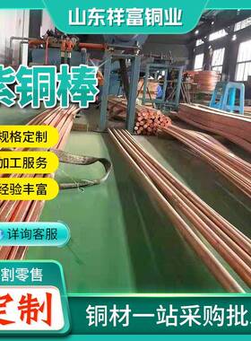 T2紫铜棒实0心铜棒2TUSE3接地导电红1铜棒C10紫铜棒模具T紫铜圆棒