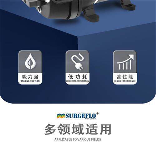 -30/31房车静音直流电动小型抽水泵自来水管道增加压12v24v水泵