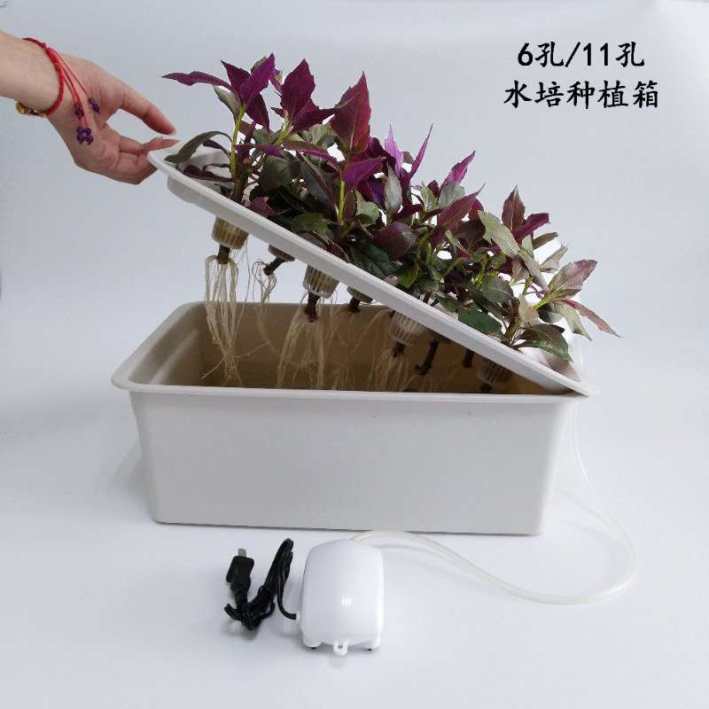 家用静态水培育苗箱 阳台种菜水培箱 水培植物箱无土栽培种植箱