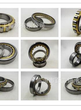 BGBG满滚子轴承SL04 NNF 5012 501 3 4 5 PP ADA-2LS圆柱滚子轴承